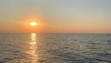 B Ensuite Appartment con Zona de Patio - Foto 5