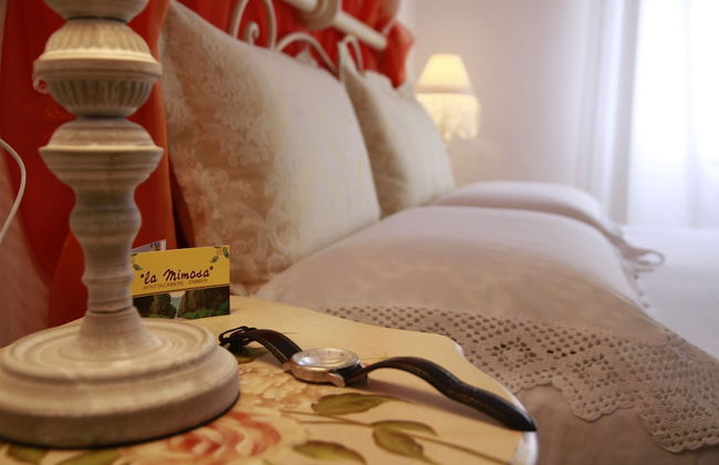 La Mimosa - Photo 6