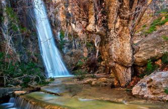 Apartments With Garden View Creta Ierapetra - Foto 72