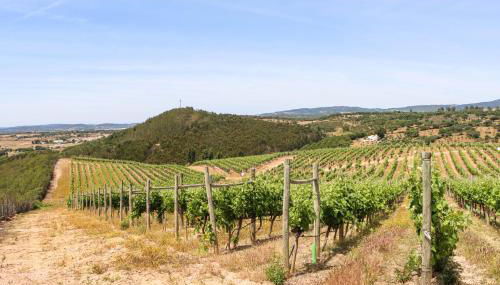 Casa do Outeiro - Foto 5