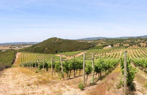 Casa do Outeiro - Foto 5