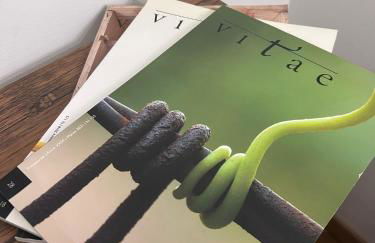 Maison Castro Casetta a Palermo - Foto 28