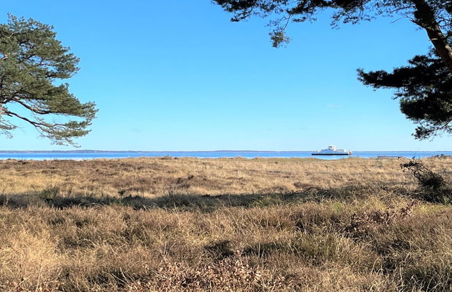 "Toska" - 100m to the fjord - Foto 17