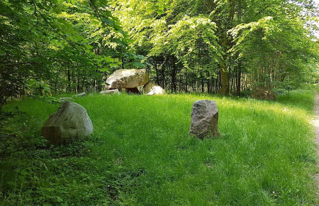 6 Person Holiday Home in Praesto-by Traum - Foto 21