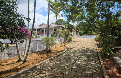 Chapada Neblina - Photo 17