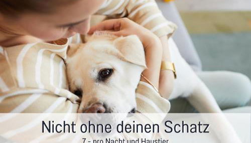 Ferienhaus Töpferhaus - strandnah, haustierfreundlich, Kaminofen, Garten, Platz für 3 Erwachsene, 2 Kinder - Foto 3