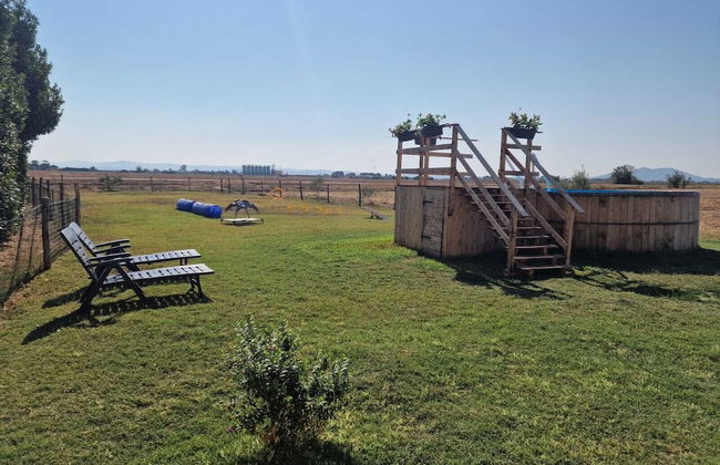 Agriturismo Il Roseto - Foto 77