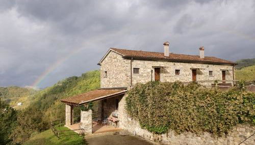 Le Chianine dei Tognoli - Foto 5