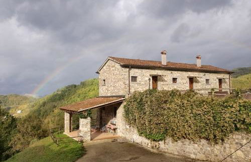 Le Chianine dei Tognoli - Foto 5
