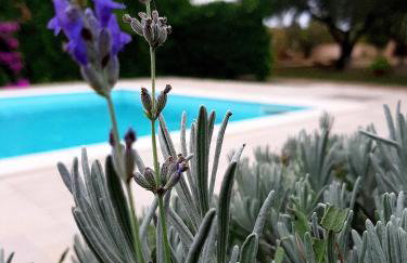 Holiday Home Villa Emma - Photo 5