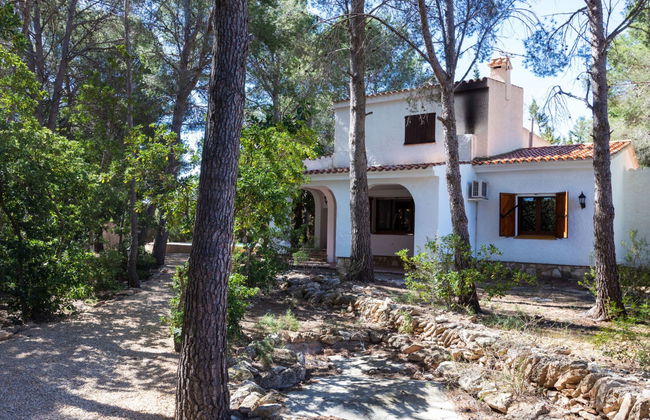 Villa Pinos - Foto 6