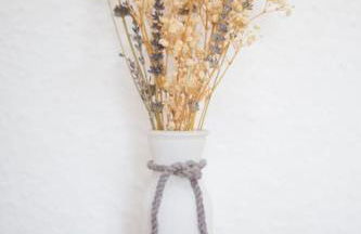 Casa Camargo - Foto 22