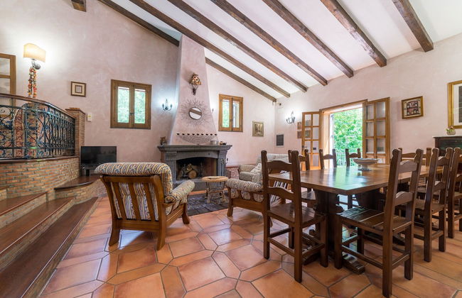 Il Castagno dell'Etna - Foto 2