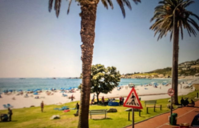 The Blue Emerald - Photo 68