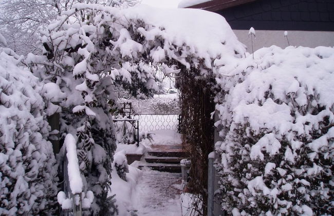 Holiday Home in Hasselfelde With Private Terrace - Foto 15