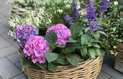 Ferienwohnung Fleckeby Schlei Fjord Light - Foto 24