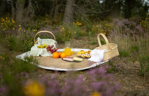 Casas do Freixial - Casa do Beco - Foto 18