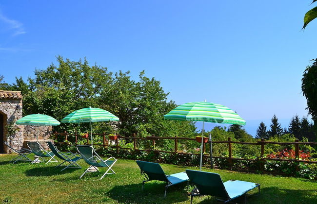 Rosa Liano in Hilly Area - Foto 3