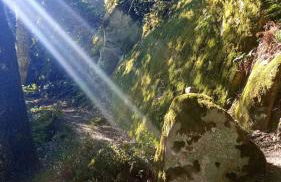 Casa Dolce Casa - Foto 36