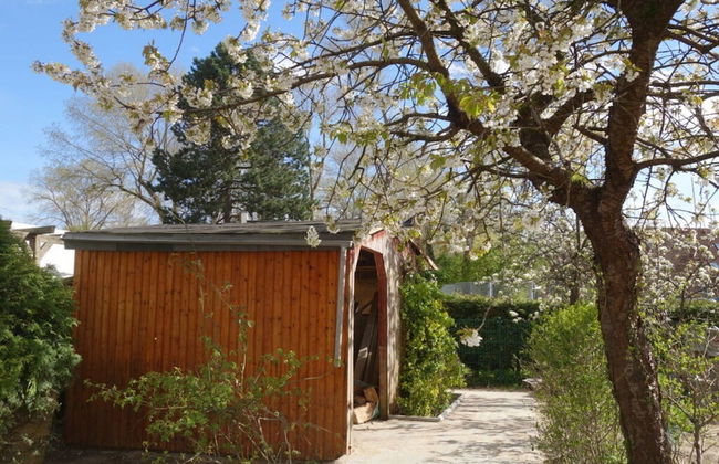 Holiday Apartment Priwall - Foto 22