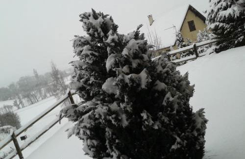 Au Studi'Ô - Foto 20