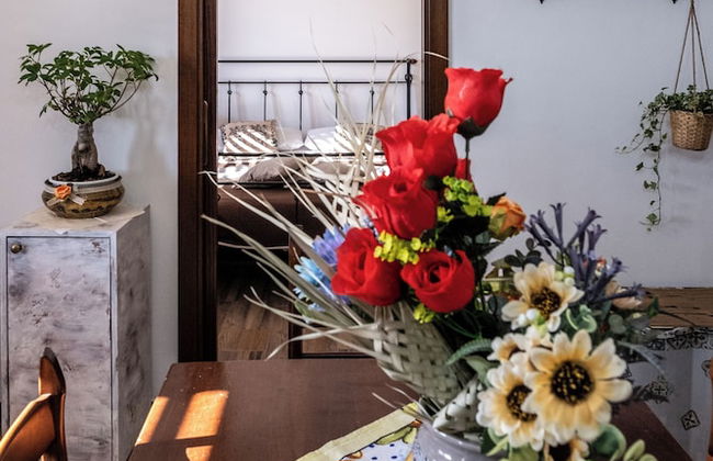 Un Posto Al Sole - Caltanissetta - Foto 19