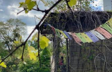 FERIENWOHNUNG ALL YOU NIED mit NIEDBLICK und TERRASSE - Foto 12