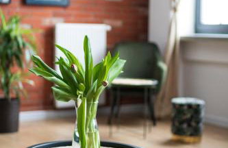 RedCity LOFT 303 - Foto 11