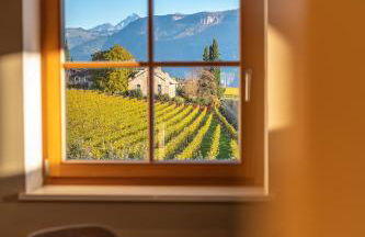 Weingut Lahn zu Eppan - Foto 10