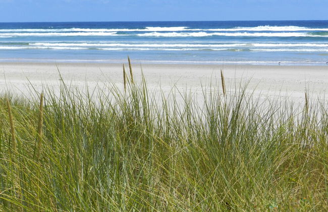 Strahan Bungalows - Foto 39