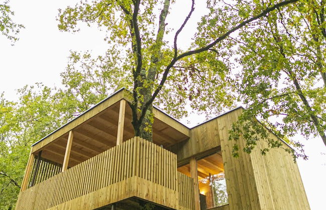 Enoturismo María Manuela - Photo 1