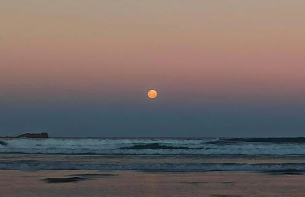 Casa Dos Ventos Hospedagem Praia do Rosa - Foto 29