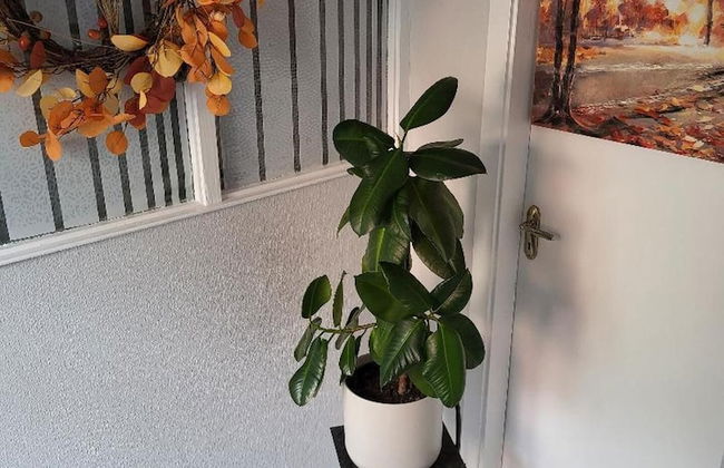 Charming 2-bed Apartment in Donegal Town Centre - Foto 32