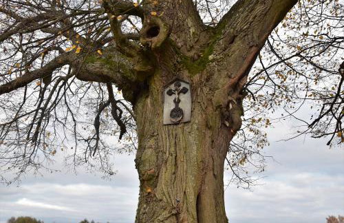 Wigierski Park Narodowy - Foto 38