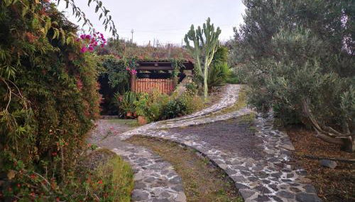 Finca Alda - Foto 3, Garden