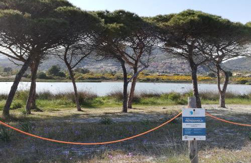 La Cuppulata - Foto 44