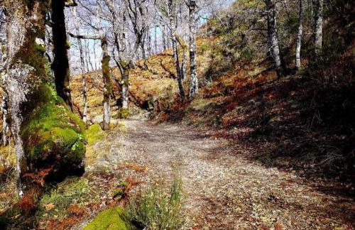 Casa Albelo do Gerês - Foto 68