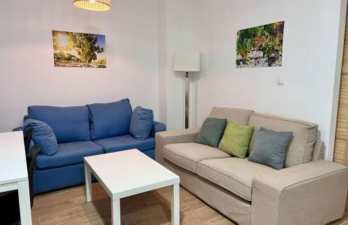 Apartamentos La Albariza Jerez Centro - Foto 57