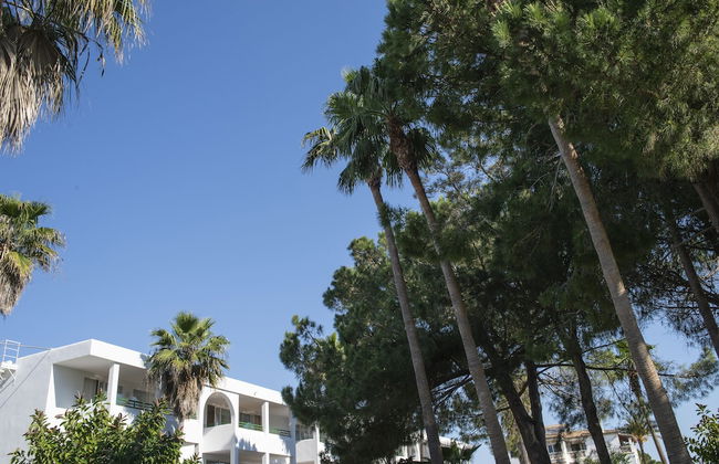 Mallorca Cecilia - Photo 54