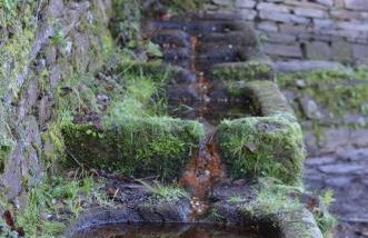 Casa rural y Habitaciones La Cañada en Monfrague Torrejon el Rubio - Foto 59