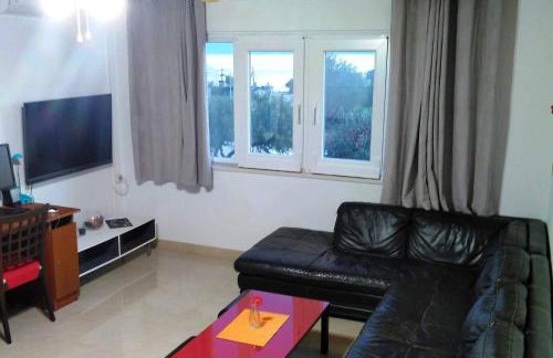 Manora Sucuraj 2 bedroom apartment - Foto 9