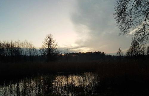 Domek Wypoczynkowy Zacisze w Makosiejach z dostępem do rzeki, z balią i jacuzzi - Foto 13