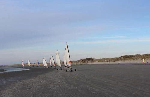 Les Bleuets - Foto 39