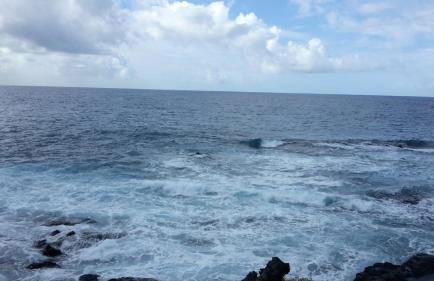 Casa Manus - Photo 25