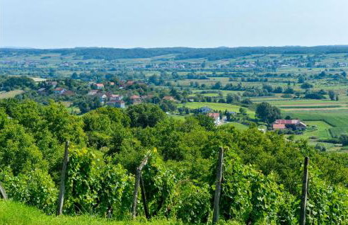 Pet Friendly Home In Sveti Ivan Zelina - Foto 16