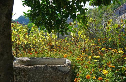 Casa do Vale - Foto 35