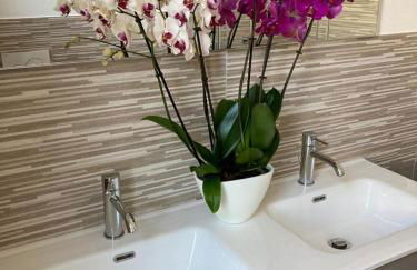 La Tillanzia - Foto 4