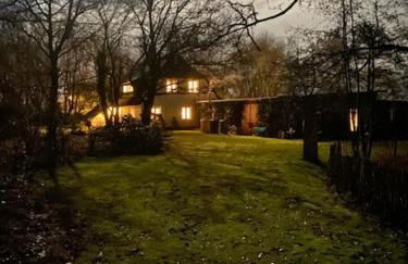 MeinNest31 - Photo 33