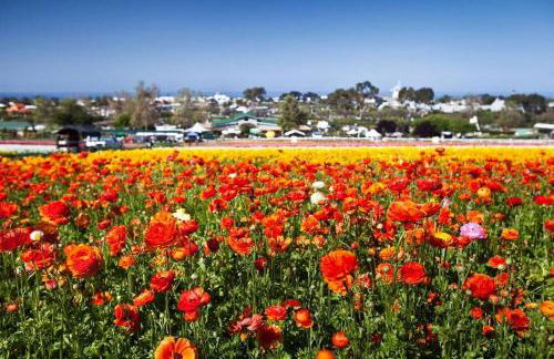 Walk to Beach, AC, Firepit, Grill - Foto 14