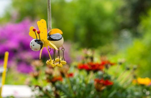 Apartmani Galić - Foto 18